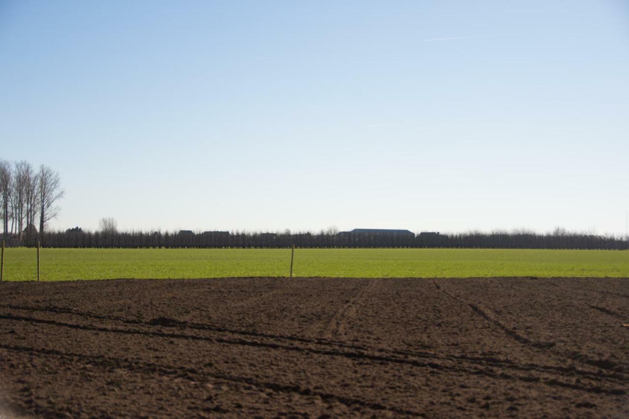 Vila 'Op De Borgt' Met Finse Grill Kota Wellen Exteriér fotografie